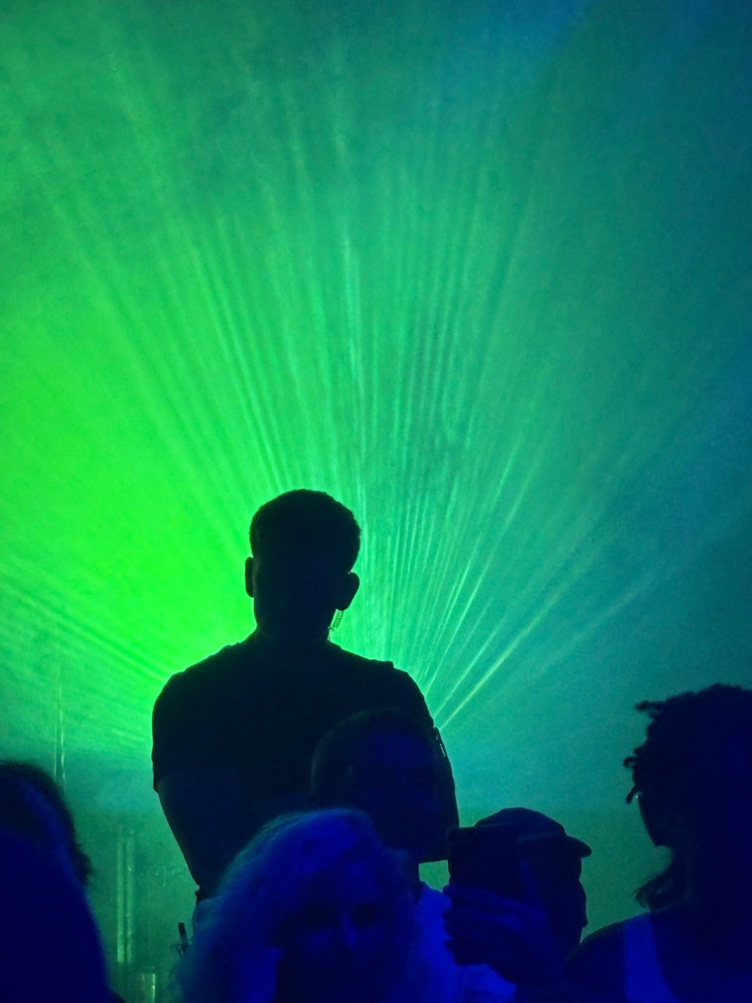 ADAPT security team member on duty among an event crowd, silhouetted against green lighting